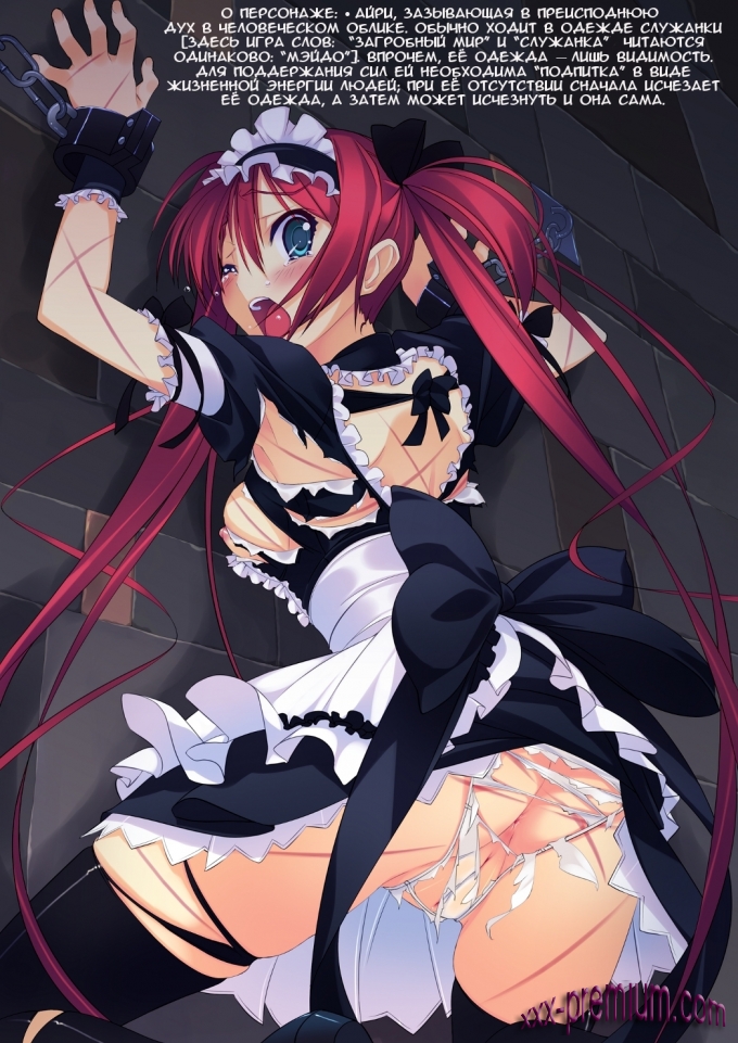 Loser's Night /Ночь проигравшей серия  Queens Blade