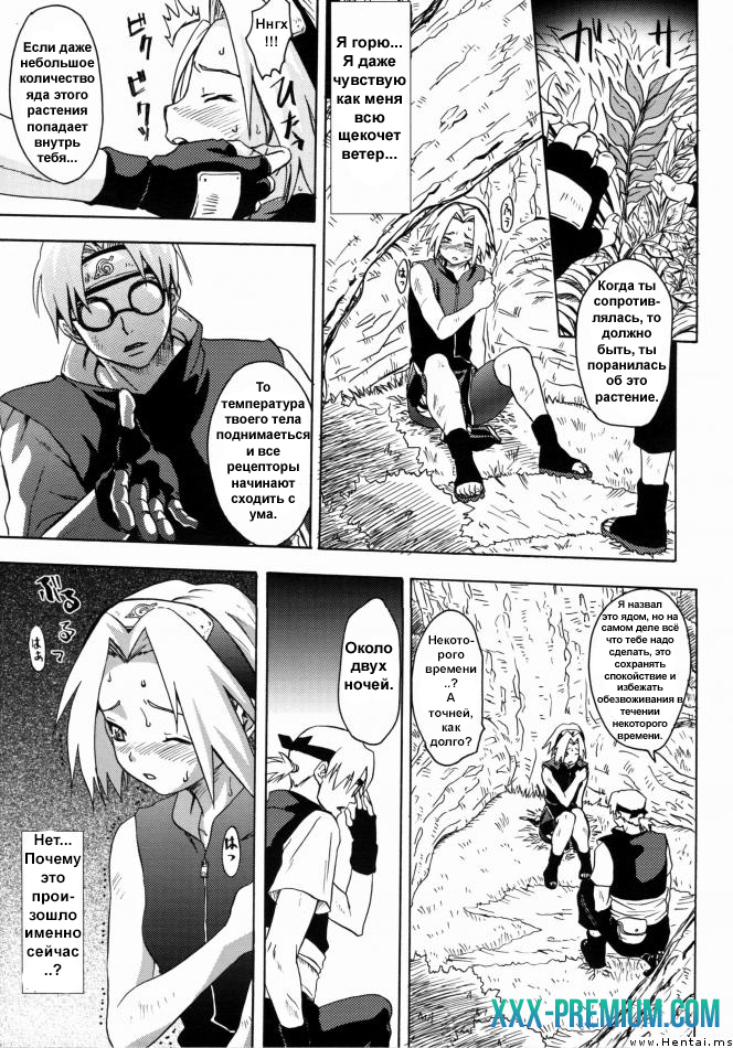 Додзинси по Наруто: Дожидаясь Весну