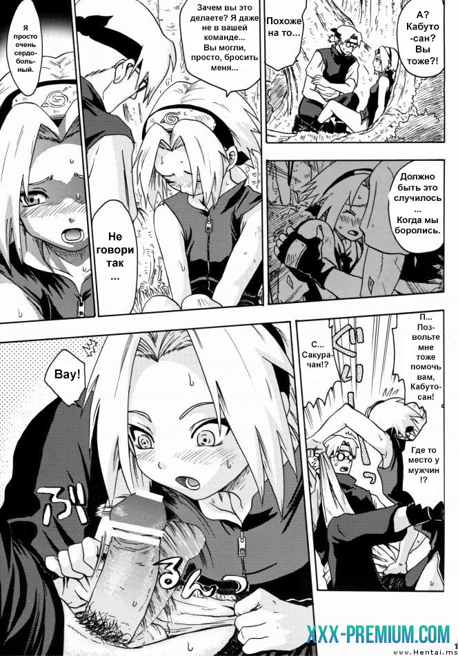 Додзинси по Наруто: Дожидаясь Весну