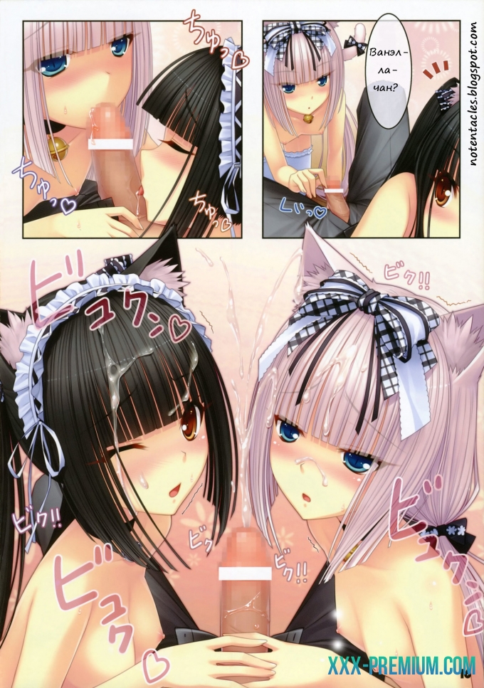 Кошачий Рай