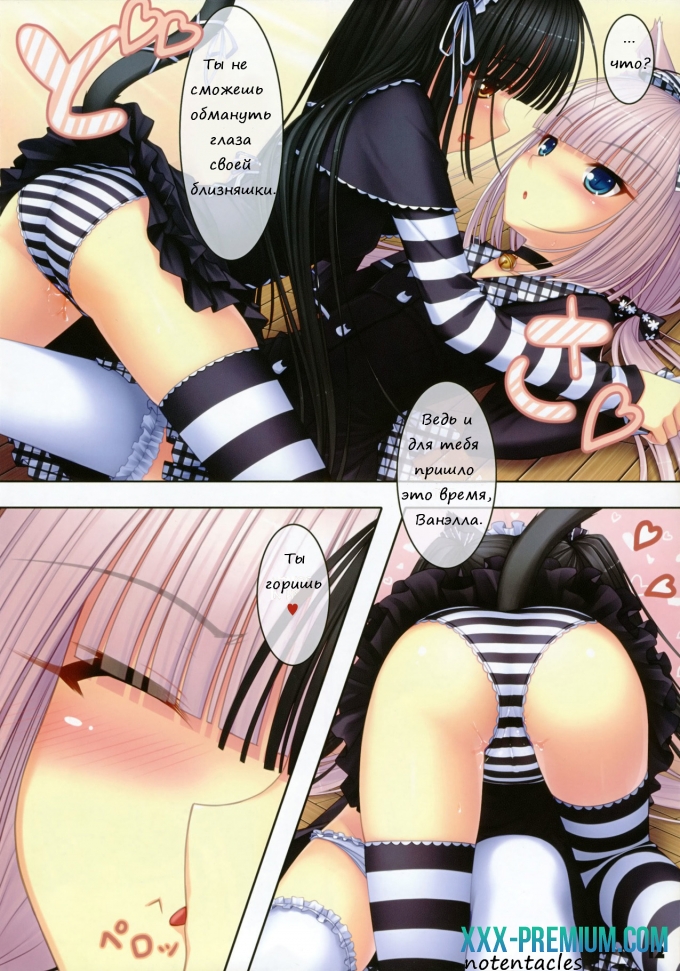 Кошачий Рай