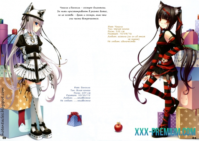 Кошачий Рай