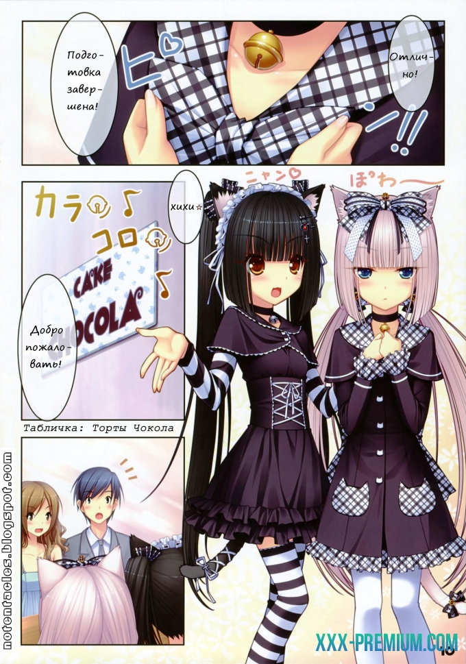 Кошачий Рай